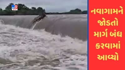 Gujarati Video: દ્વારકાના ભાણવડ અને નવાગામને જોડતો માર્ગ બંધ કરવામાં આવ્યો