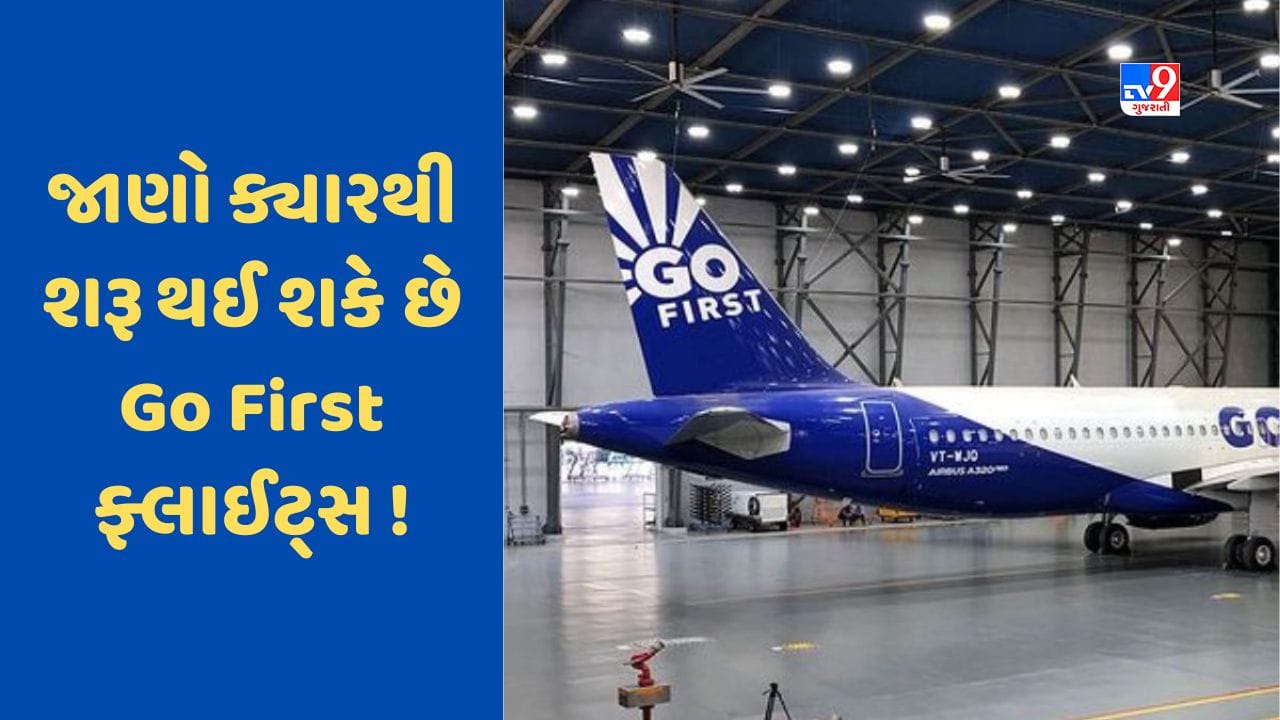 હજી આટલો સમય બંધ રહી શકે છે Go First એરલાઈન્સની ફ્લાઈટ્સ ! મુસાફરોને ...