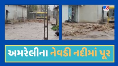 Amreli Rain Video : સાવરકુંડલા શહેર અને ગ્રામ્ય વિસ્તારોમાં વરસ્યો વરસાદ, નેવડી નદીમાં પૂરની સ્થિતિ Amreli Rain Video : સાવરકુંડલા શહેર અને ગ્રામ્ય વિસ્તારોમાં વરસ્યો વરસાદ, નેવડી નદીમાં પૂરની સ્થિતિ