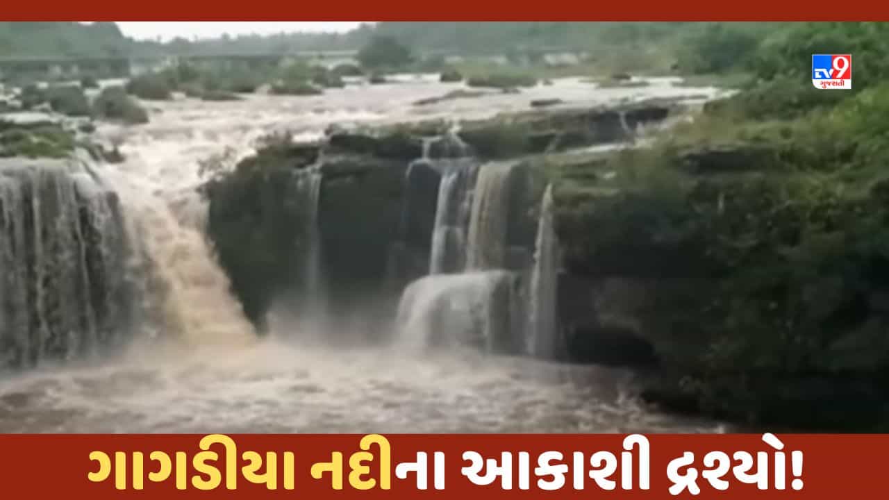 Monsoon: અમરેલીમાં પ્રકૃતિ સોળે કળાએ ખીલી ઉઠી, પાણીની આવક થતા ગાગડીયા નદી જીવંત બની, જુઓ આકાશી દ્રશ્યો-Video
