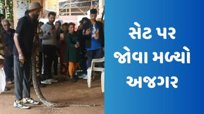 ગુમ હૈ કિસી કે પ્યાર મેંના સેટ પર જોવા મળ્યો અજગર, શક્તિ અરોરાએ કર્યો ખુલાસો, જુઓ Video