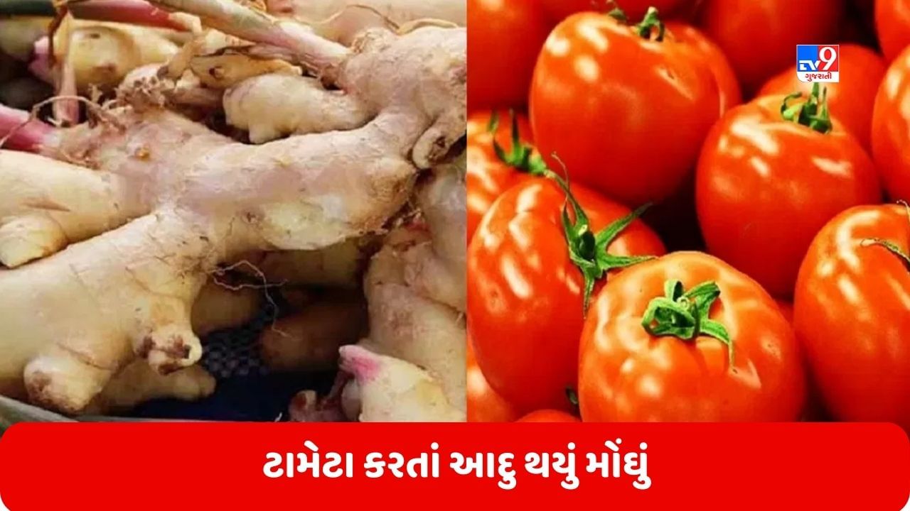 Ginger Price આ શહેરોમાં ટામેટા કરતાં આદુ થયું મોંઘું, જાણો શું છે ભાવ Gujarati News Ginger