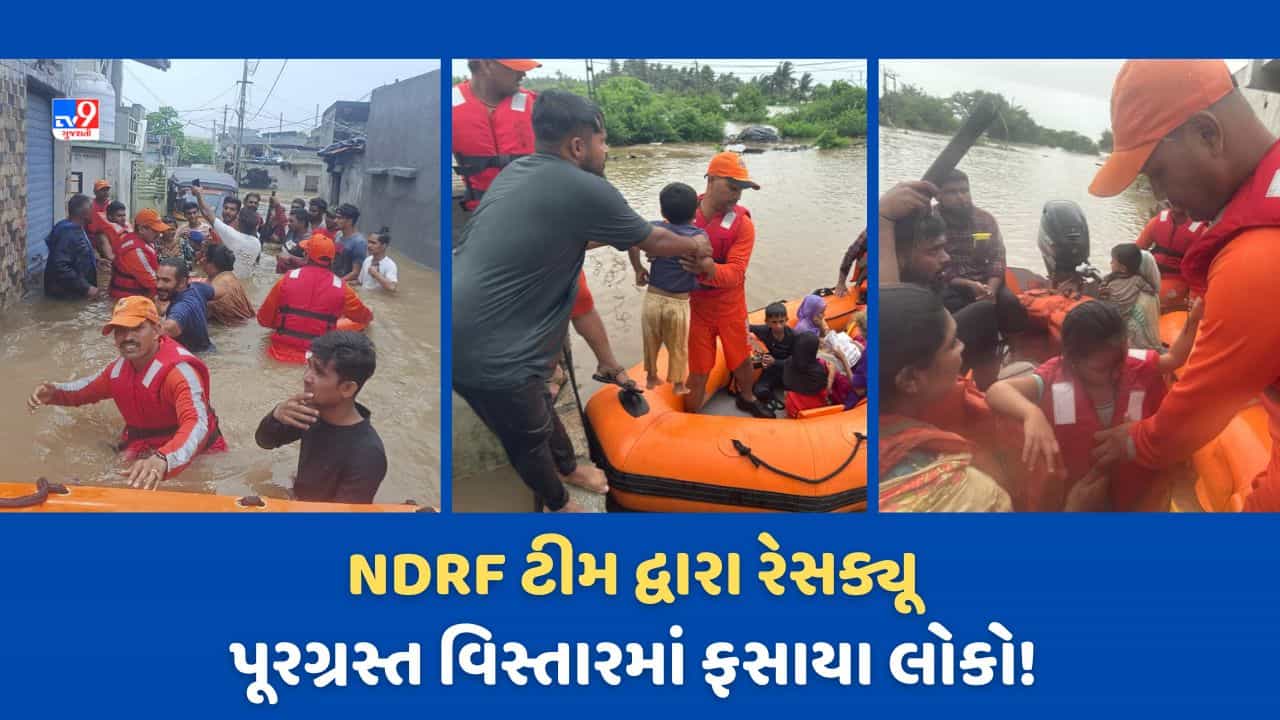 Gujarat Rain Video: વેરાવળમાં પૂરગ્રસ્ત વિસ્તારોમાંથી NDRF ની ટીમની બચાવ કામગીરી, 20 થી 25 જેટલા ગામો સંપર્ક વિહોણા