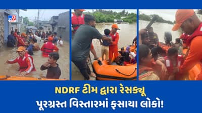 Gujarat Rain Video: વેરાવળમાં પૂરગ્રસ્ત વિસ્તારોમાંથી NDRF ની ટીમની બચાવ કામગીરી, 20 થી 25 જેટલા ગામો સંપર્ક વિહોણા