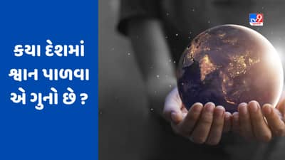 GK Quiz : શું શ્વાન પાળવા પર નોંધાઈ શકે છે ગુનો ? જાણો કયા દેશમાં છે આવો કાયદો