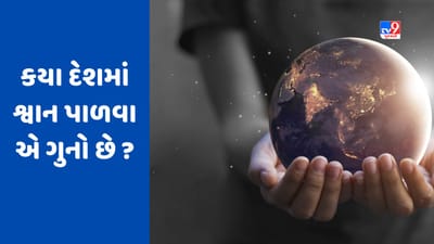 GK Quiz : શું શ્વાન પાળવા પર નોંધાઈ શકે છે ગુનો ? જાણો કયા દેશમાં છે આવો કાયદો