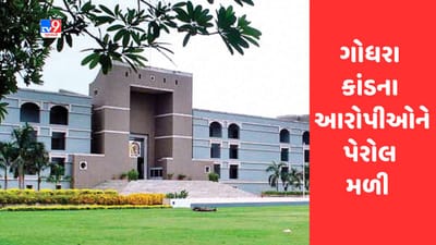 Gujarati Video : ગોધરા કાંડના આરોપીઓની હાઈકોર્ટે 15 દિવસની પેરોલ અરજી મંજૂર કરી Gujarati Video : ગોધરા કાંડના આરોપીઓની હાઈકોર્ટે 15 દિવસની પેરોલ અરજી મંજૂર કરી