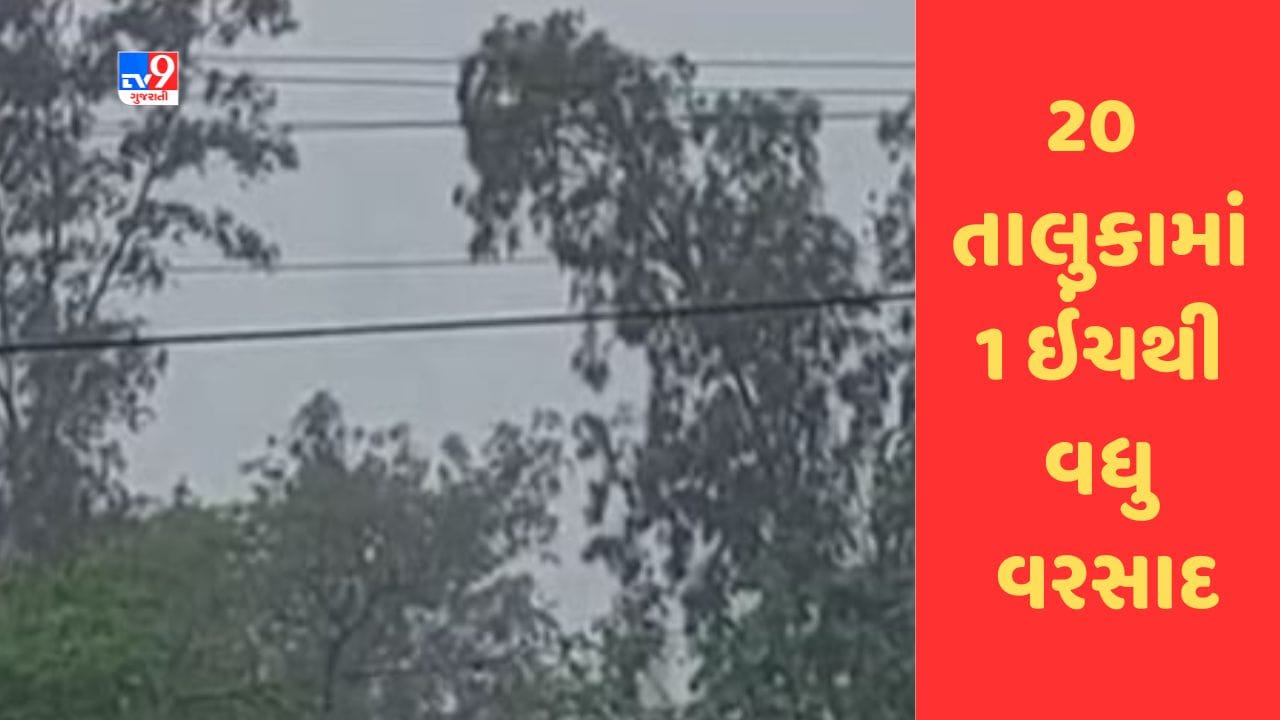 Gujarati Video : ગુજરાતના 124 તાલુકાઓમાં વરસાદ, સૌથી વધુ વરસાદ ધોરાજીમાં ખાબકયો Gujarati Video : ગુજરાતના 124 તાલુકાઓમાં વરસાદ, સૌથી વધુ વરસાદ ધોરાજીમાં ખાબકયો