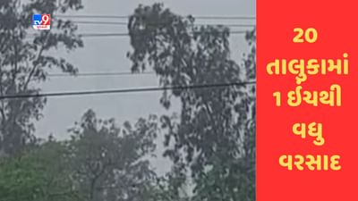 Gujarati Video : ગુજરાતના 124 તાલુકાઓમાં વરસાદ, સૌથી વધુ વરસાદ ધોરાજીમાં ખાબકયો Gujarati Video : ગુજરાતના 124 તાલુકાઓમાં વરસાદ, સૌથી વધુ વરસાદ ધોરાજીમાં ખાબકયો