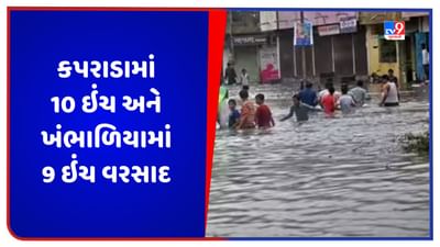 ગુજરાતમાં મેઘરાજાની ધમાકેદાર બેટિંગ, વલસાડના કપરાડામાં સૌથી વધુ 10 ઇંચ અને દ્વારકાના ખંભાળિયામાં 9 ઇંચ વરસાદ, જુઓ Video