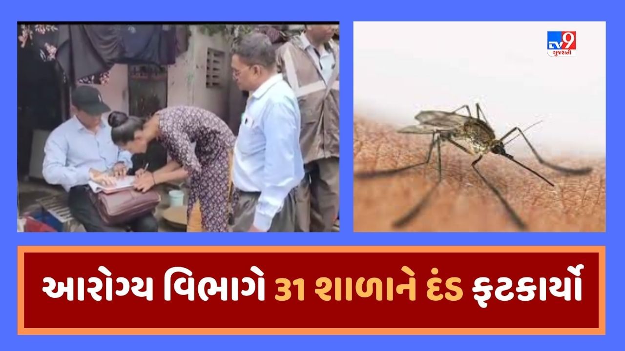 Breaking News : સુરતમાં આરોગ્ય વિભાગની તવાઇ, એલપી સવાણી અને સન ફ્લાવર સહિત 31 સ્કૂલને મચ્છરના બ્રીડિંગ મુદ્દે ફટકારાયો દંડ