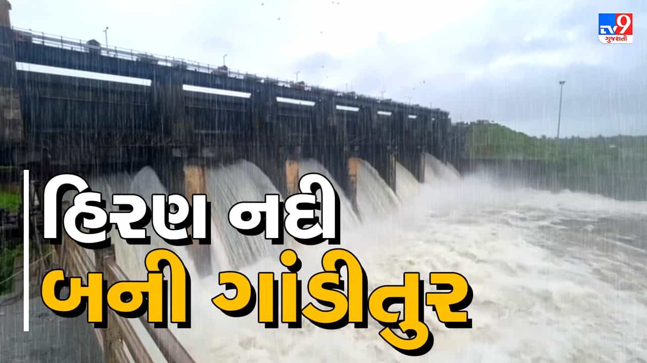 Gir somnath : ગીર જંગલ વિસ્તારમાં ધોધમાર વરસાદ, તાલાળા નજીકનો હિરણ-2 ડેમ થયો ઓવરફ્લો, જૂઓ Video