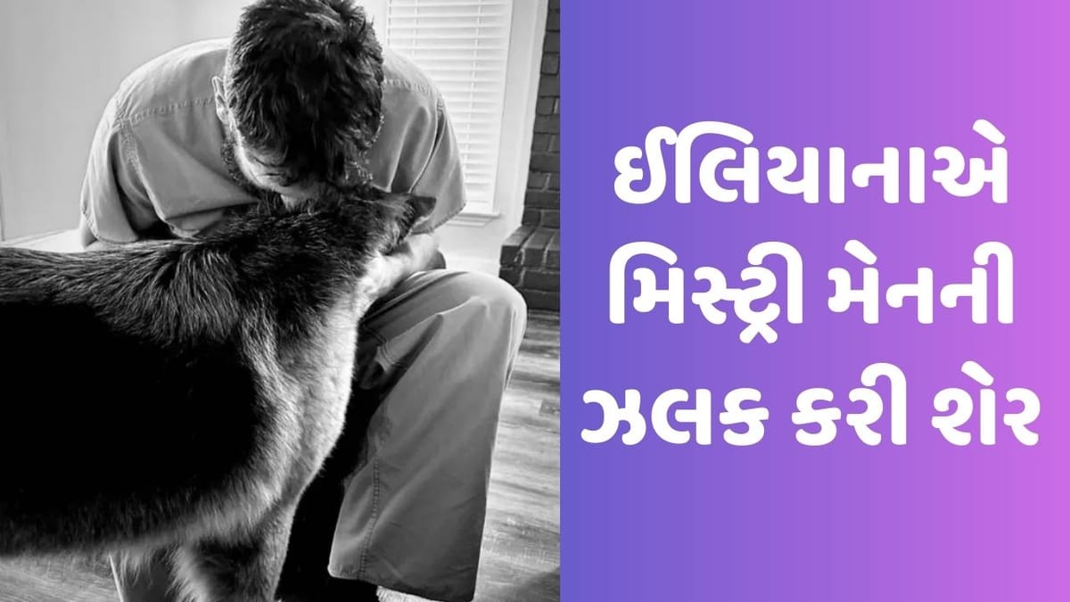 Ileana D’Cruz: ઈલિયાના ડી'ક્રૂઝે મિસ્ટ્રી મેનની બીજી ઝલક કરી શેર, ફ્લોન્ટ કર્યો બેબી બમ્પ