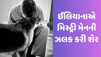 Ileana D’Cruz: ઈલિયાના ડી'ક્રૂઝે મિસ્ટ્રી મેનની બીજી ઝલક કરી શેર, ફ્લોન્ટ કર્યો બેબી બમ્પ