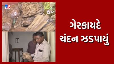 નવસારીના પારસી સોસાયટીમાં પકડાયું ગેરકાયદે ચંદન, આરોપીઓને જામીન પર કરાયા મુક્ત, જુઓ Video