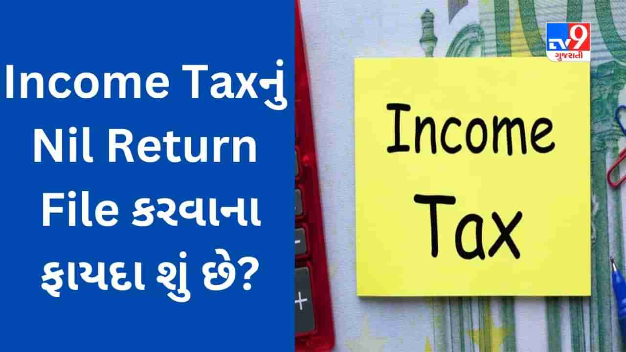 Income Tax Return : Nil Return કોણ ફાઇલ કરી શકે છે અને તેના ફાયદા શું છે? સમજો વિગતવાર