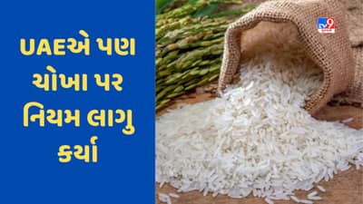 Indian Rice: ભારતના ચોખા એક્સપોર્ટ પર પ્રતિબંધને લઈ વિદેશમાં ખળભડાટ, UAEએ પણ નિયમ લાગુ કર્યા
