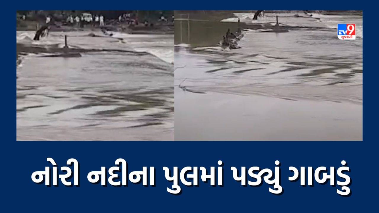 Junagadh Heavy Rain: ભારે વરસાદને પગલે માંગરોળમાં નોરી નદીના પુલમાં પડ્યું ગાબડું, જુઓ Video