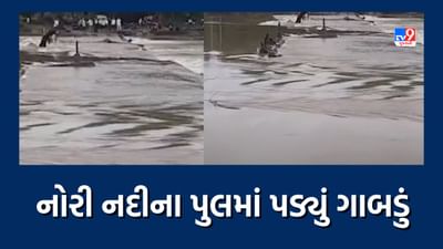 Junagadh Heavy Rain: ભારે વરસાદને પગલે માંગરોળમાં નોરી નદીના પુલમાં પડ્યું ગાબડું, જુઓ Video Junagadh Heavy Rain: ભારે વરસાદને પગલે માંગરોળમાં નોરી નદીના પુલમાં પડ્યું ગાબડું, જુઓ Video