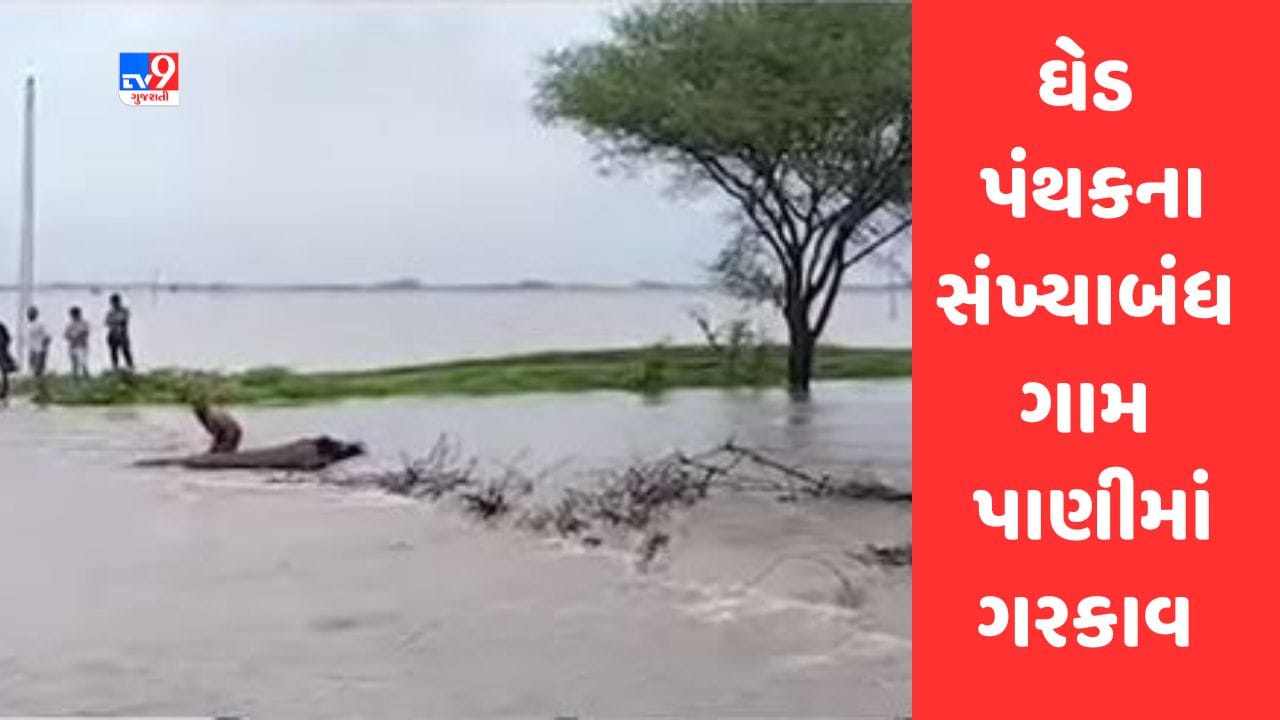 Gujarati Video જૂનાગઢમાં ભારે વરસાદથી ઘેડ પંથકના સંખ્યાબંધ ગામ