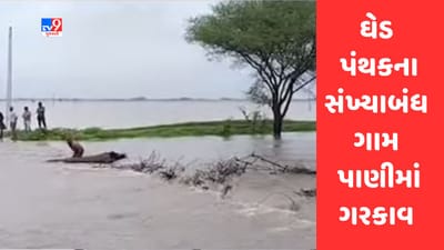 Gujarati Video : જૂનાગઢમાં ભારે વરસાદથી ઘેડ પંથકના સંખ્યાબંધ ગામ પાણીમાં ગરકાવ