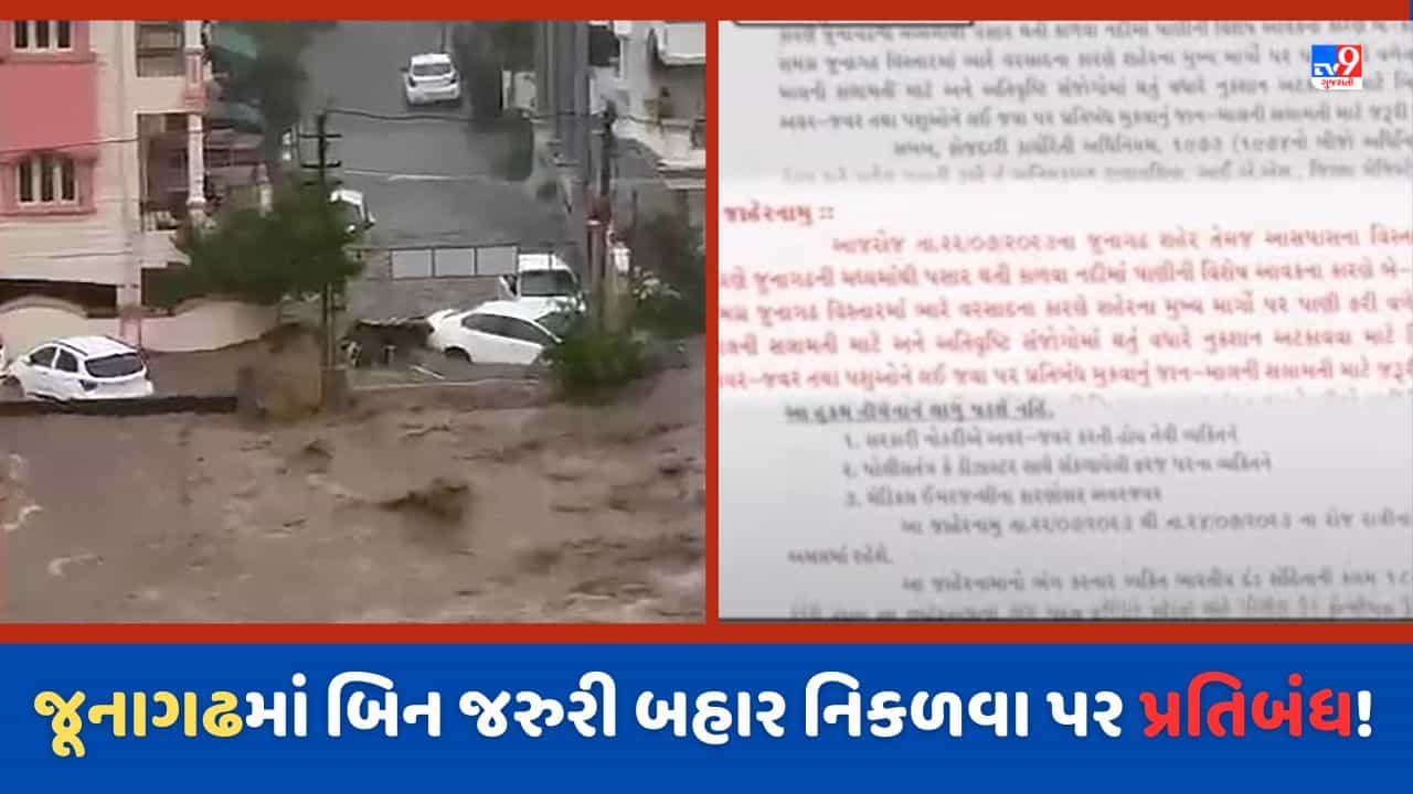 Junagadh Rain: જૂનાગઢમાં ભારે વરસાદને લઈ કલેકટરનુ જાહેરનામું, પ્રવાસન સ્થળો પર ફરવા પ્રતિબંધ! Video