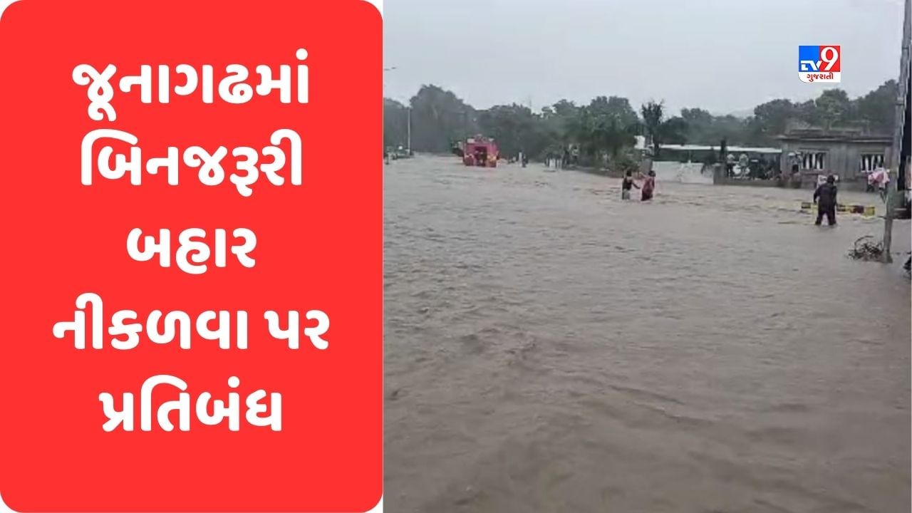 Breaking News : જૂનાગઢ શહેર અને જિલ્લામાં બિનજરૂરી રીતે બહાર નીકળવા પર પ્રતિબંધ, જિલ્લા કલેક્ટરે બહાર પાડ્યું જાહેરનામું