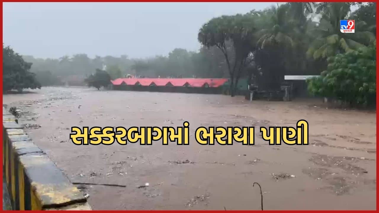 Rain Video: સોરઠમાં મેઘરાજાનું રૌદ્ર સ્વરૂપ, સક્કરબાગ ઝુમાં પાણી ભરાતા પ્રાણી સંગ્રહાલયના પશુ પંખીઓની કફોડી સ્થિતિ