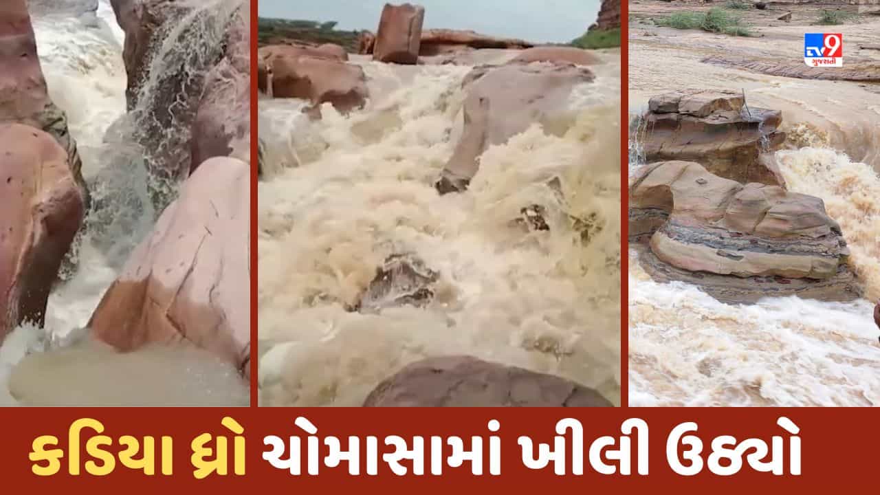 Gujarat Rain: કચ્છનો કડિયા ધ્રો ખીલી ઉઠ્યો, વરસાદમાં સર્જાયો સુંદર નજારો, જુઓ Video