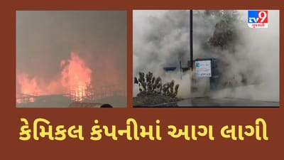 Breaking News : અંકલેશ્વરની કેમિકલ કંપનીમાં ભીષણ આગ લાગી, પ્લાન્ટમાં એસિડ ગળતરના કારણે ફાયરબ્રિગેડ માટે નજીક પહોંચવું મુશ્કેલ બન્યું, જુઓ Video