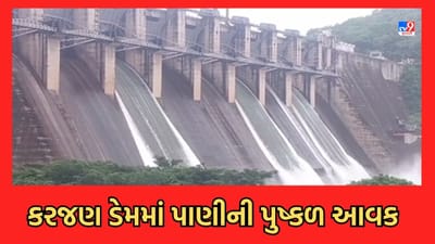 Narmada: ડેડિયાપાડા અને સાગબારામાં ધોધમાર વરસાદ, કરજણ ડેમમાં પાણીની પુષ્કળ આવક- જુઓ Video Narmada: ડેડિયાપાડા અને સાગબારામાં ધોધમાર વરસાદ, કરજણ ડેમમાં પાણીની પુષ્કળ આવક- જુઓ Video