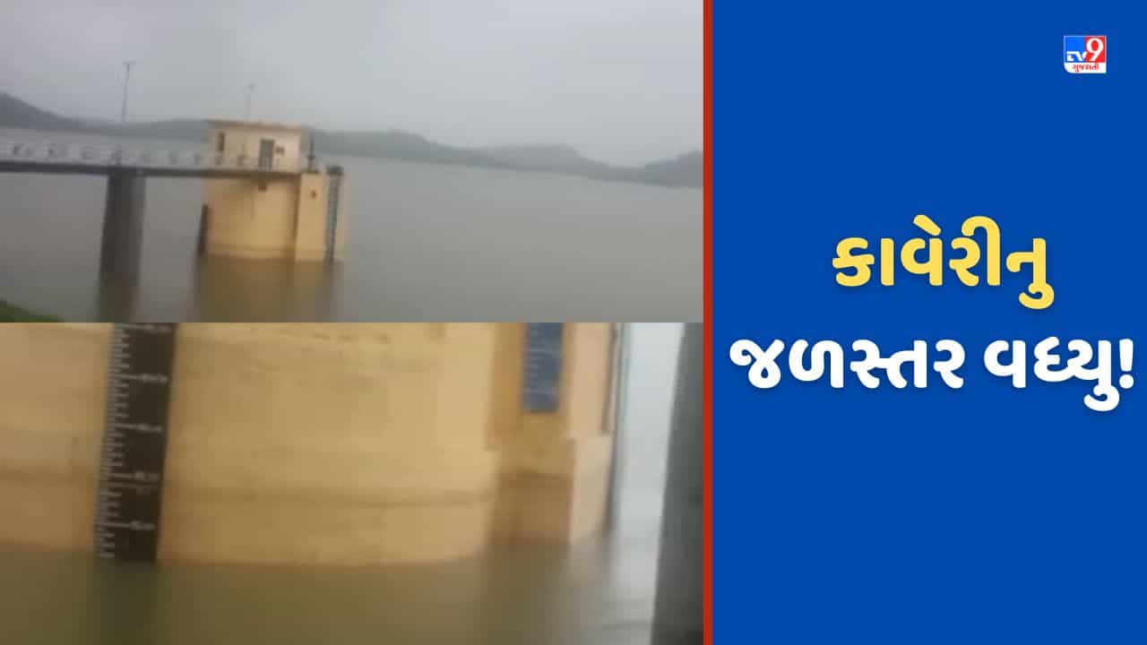 Gujarat Rains: નવસારીના ચીખલીમાં રાત્રી દરમિયાન ધોધમાર વરસાદ, કાવેરી નદીમાં જળસ્તર પોણા બે ફૂટ વધ્યુ Video