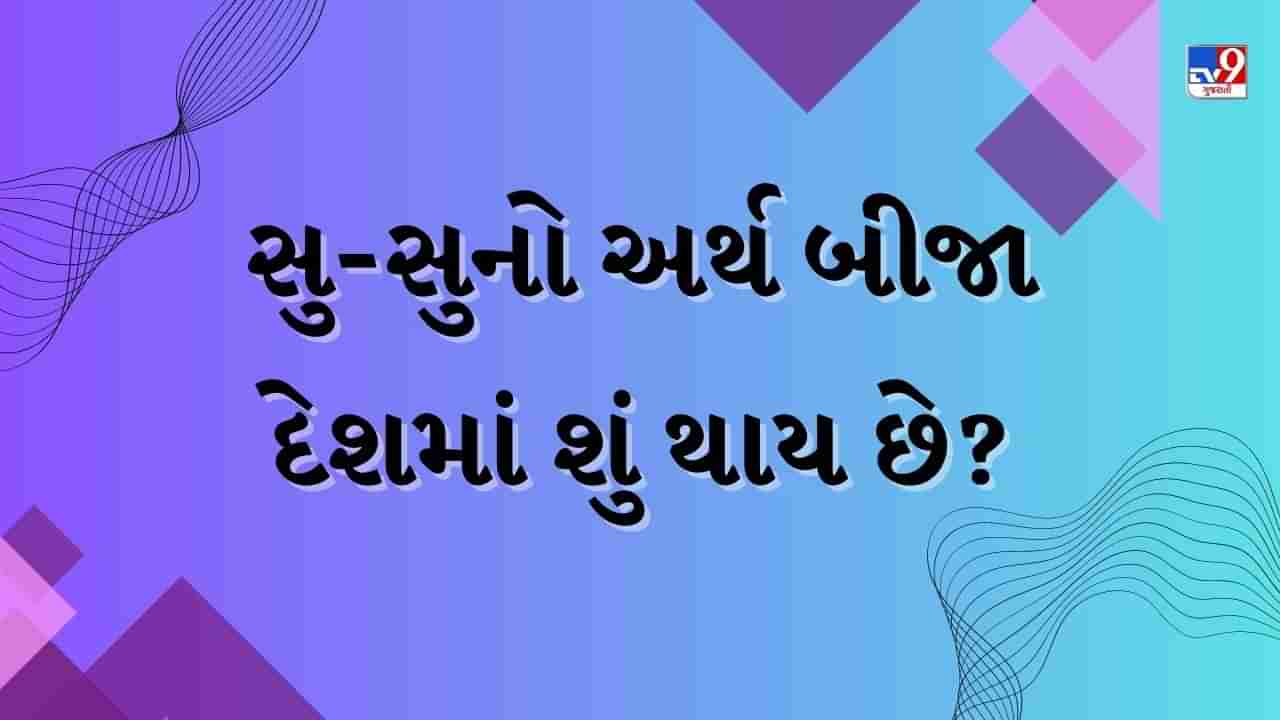 Knowledge : ભારતમાં સુ-સુનો અર્થ તમને ખબર છે... અન્ય દેશોમાં તેનો અર્થ કંઈક અલગ છે ! જાણો નોલેજ