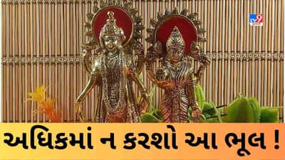 અધિકમાસમાં ભૂલથી પણ ન કરવા જોઈએ આ કામ ! નહીંતર ભગવાન વિષ્ણુ થઈ શકે છે નારાજ !