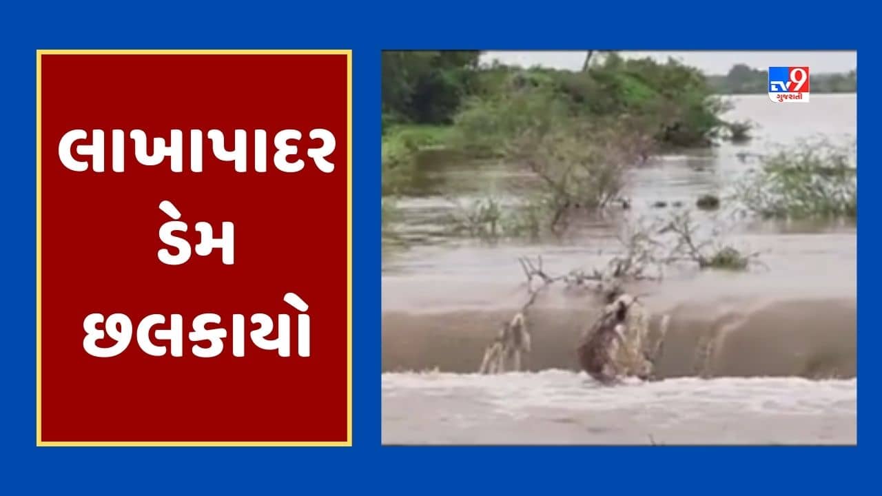 Gujarati Video : અમરેલીના ચલાલાના લાખાપાદર ગામનો ચેકડેમ ઓવરફ્લો, ખેડૂતોમાં ખુશીનો માહોલ