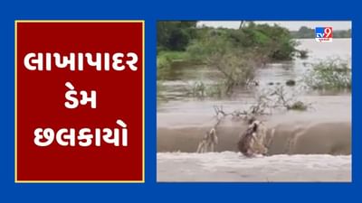 Gujarati Video : અમરેલીના ચલાલાના લાખાપાદર ગામનો ચેકડેમ ઓવરફ્લો, ખેડૂતોમાં ખુશીનો માહોલ