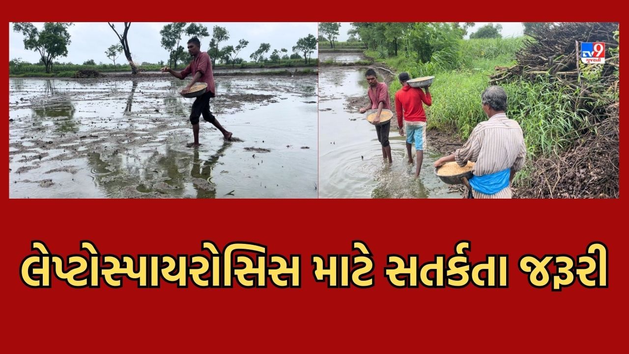 Navsari: એક સમયે દક્ષિણ ગુજરાતમાં હાહાકાર મચાવનાર લેપ્ટોસ્પાયરોસિસ રોગ હજુ પણ આરોગ્ય વિભાગ માટે પડકારૂપ