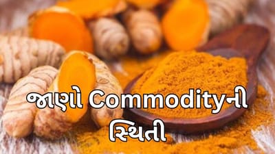 Commodity Market today : ગઈકાલે 3 % થી વધુ ઘટ્યા બાદ આજે હળદરમાં જોવા મળ્યો સુધાર, જાણો શું છે અન્ય કોમોડિટીની સ્થિતિ