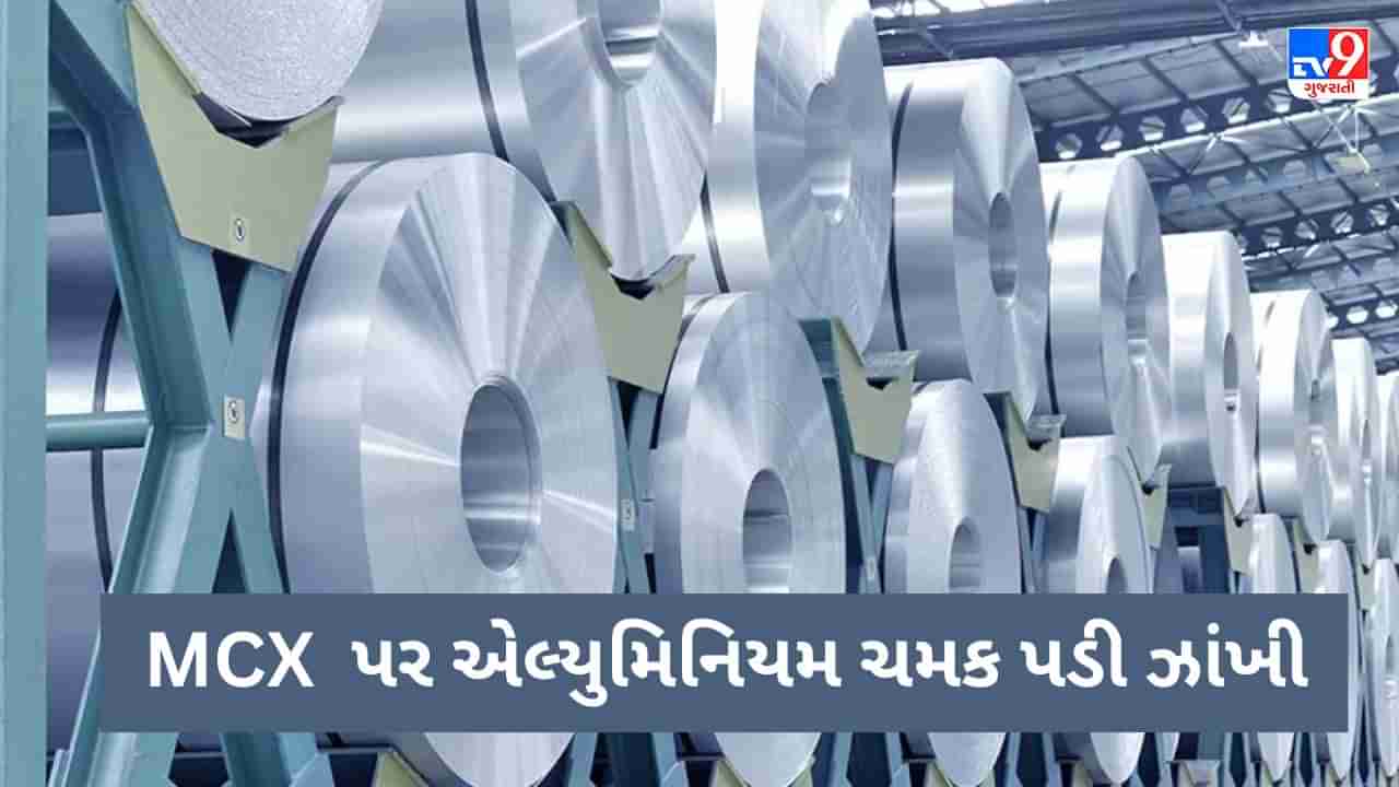 Commodity Market today : એલ્યુમિનિયમની ચમક પડી ઝાંખી, તાંબામાં આવી તેજી, જાણો કેવી છે ક્રૂડ ઓઈલની સ્થિતી