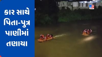 Valsad : સેલવાસમાં લો-લેવલ બ્રિજ પરથી 7 વર્ષના પુત્ર સાથે પિતા તણાયા, જુઓ Video