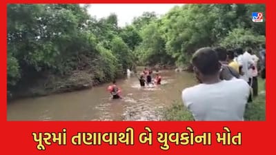 Gujarati Video: મહીસાગરમાં વરસાદી પાણીમાં 2 યુવકોના મોત, ડીપ પાસ કરતા તણાયા યુવકો Gujarati Video: મહીસાગરમાં વરસાદી પાણીમાં 2 યુવકોના મોત, ડીપ પાસ કરતા તણાયા યુવકો