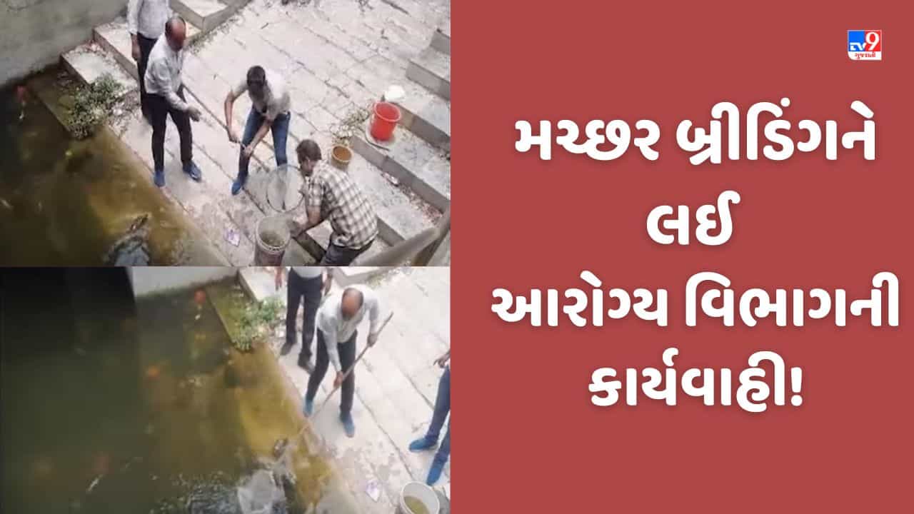 Gujarat Video: મહેસાણામાં આરોગ્ય વિભાગ દ્વારા મચ્છર બ્રીડિંગને લઈ કાર્યવાહી, 140 ફેક્ટરી અને 862 એકમને નોટિસ