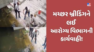 Gujarat Video: મહેસાણામાં આરોગ્ય વિભાગ દ્વારા મચ્છર બ્રીડિંગને લઈ કાર્યવાહી, 140 ફેક્ટરી અને 862 એકમને નોટિસ