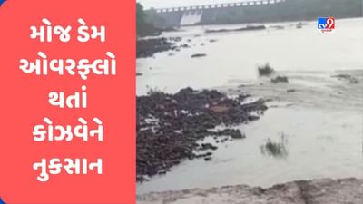 Rajkot : મોજ ડેમ ઓવરફ્લો થતાં કોઝવેને નુકસાન, 12 ગામને જોડતો રસ્તો કરાયો બંધ, જુઓ Video