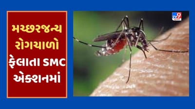 Gujarati Video : સુરતમાં મચ્છરજન્ય રોગચાળો વકરતા કોર્પોરેશનનું તંત્ર એકશનમાં, આરોગ્ય વિભાગે બે લાખથી વધુ ઘરોમાં ચેકિંગ કર્યું