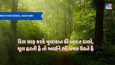 Motivational Shayari : ખૂન ઔર પસીને સે લિખની પડતી હૈ, સફલતા કી કિતાબ -જેવી શાયરી વાંચો
