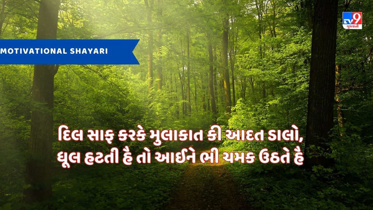 Motivational Shayari : રોજ રોજ ગિરકર ભી મુકમ્મલ ખડા હૂં, એ મુશ્કિલોં ! દેખો મૈં તુમસે કિતના બડા હૂં - જેવી શાયરી વાંચો