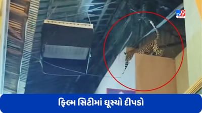 Mumbai: ગોરેગાંવમાં આવેલી ફિલ્મ સિટીમાં ઘૂસ્યો દીપડો, લોકો જીવ બચાવવા ભાગ્યા, જુઓ Video Mumbai: ગોરેગાંવમાં આવેલી ફિલ્મ સિટીમાં ઘૂસ્યો દીપડો, લોકો જીવ બચાવવા ભાગ્યા, જુઓ Video