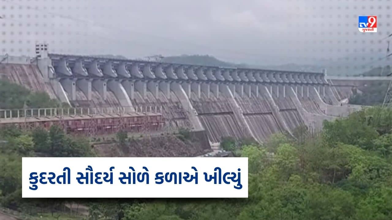 Narmada : ડેમમાં પાણી વધતા કુદરતી સૌદર્ય સોળે કળાએ ખીલ્યું, ડેમની મુલાકાત માટે પ્રવાસીઓનો ઘસારો, જુઓ Video