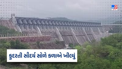 Narmada : ડેમમાં પાણી વધતા કુદરતી સૌદર્ય સોળે કળાએ ખીલ્યું, ડેમની મુલાકાત માટે પ્રવાસીઓનો ઘસારો, જુઓ Video Narmada : ડેમમાં પાણી વધતા કુદરતી સૌદર્ય સોળે કળાએ ખીલ્યું, ડેમની મુલાકાત માટે પ્રવાસીઓનો ઘસારો, જુઓ Video